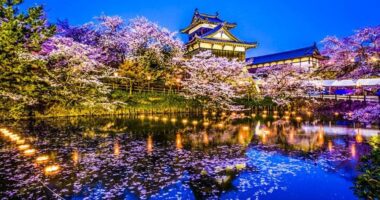 Berwisata Ke Negeri Sakura Wajib Tahu Hal Hal Ini